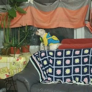 Meet your Posher, Sung